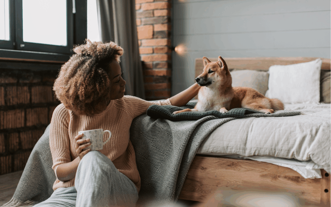 Haustiere in Wohnungen – alles was Sie wissen müssen