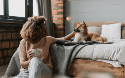 Haustiere in Wohnungen – alles was Sie wissen müssen